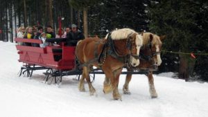 Breckenridge Stables Sleigh Rides